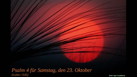 Psalm 4 für Samstag, den 23. Oktober