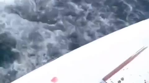 Shark Steals Half His Catch