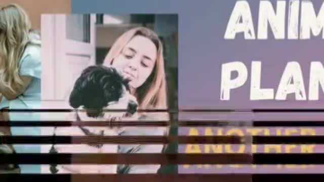 Best Dog Moments part | Animal Planet