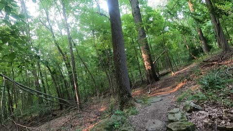 A second trail clip at Bedeford reservation