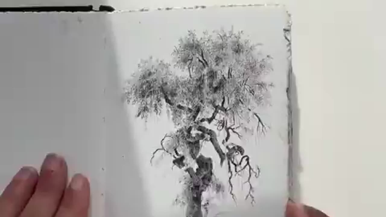 Leonardo Da Vinci's 500 year old rule for drawing trees tested