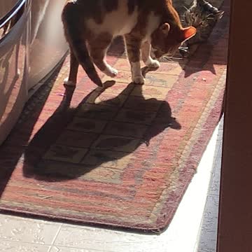 Lucky and Keke disagree