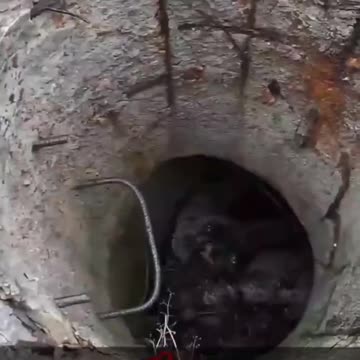 I odszkodowania nie będzie