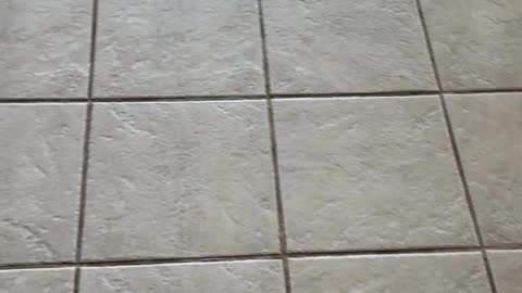 How tile and grout cleaning works.
