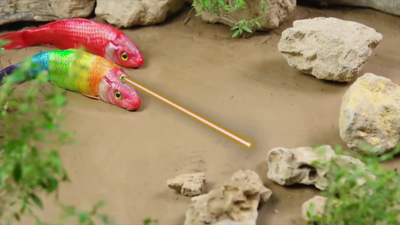 Stop Motion ASMR | Rainbow Fish Hatching Giant Eggs From The Primitive Experimental Universe Fun