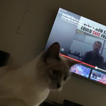 Mila‘s little friend