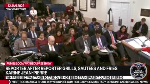 Reporter After Reporter Grills, Sautées and Fries Karine Jean-Pierre Over GarageGate