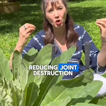 The medicinal garden gem