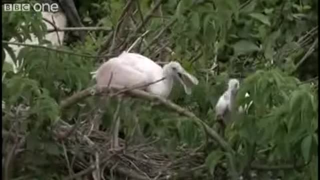 Very Funny Animal Talking with there friendsππππ