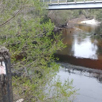 Blackwater River---Florida Free camping