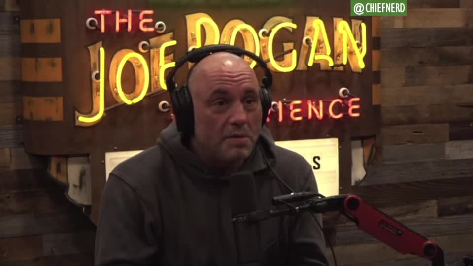 Joe Rogan Has a Theory on What Causes "Wokeness" and How to Fix It