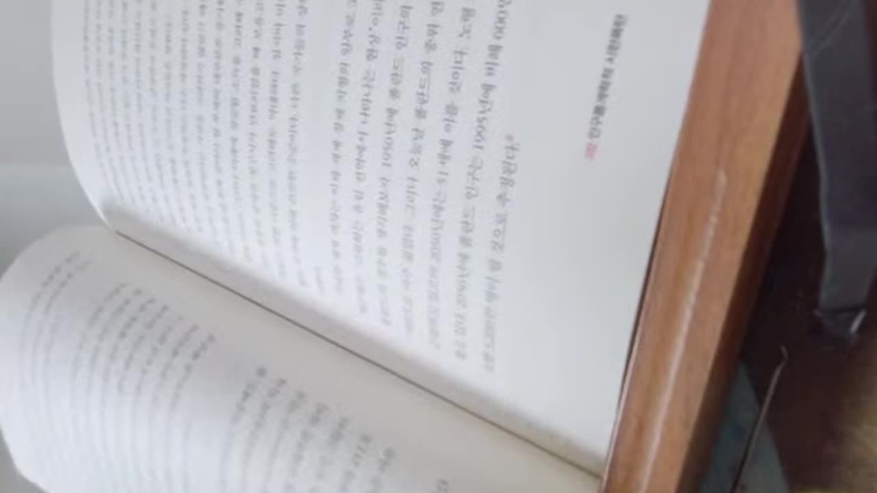 #초거대위협, 누리엘루비니,부채의빙산,채무불이행,인플레이션,스태그플레이션,통화,재정,신용완화, 구제금융,보증,부채위기,정치자금,대형금융기관,중소기업,금리인상의지,무모한레버러지