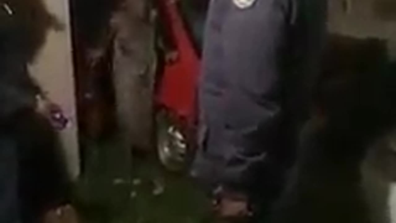 Cop find guy in someone's car