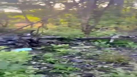 The downed Russian plane is probably an attack aircraft of KB Sukhoi, which one we are installing.