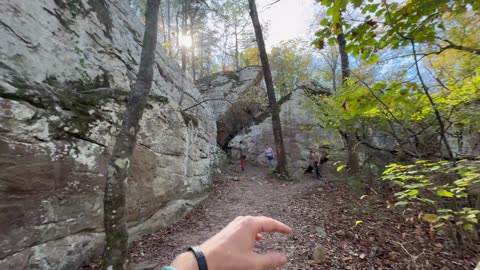 Moss Rock Preserve 7