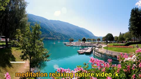 Nature animal clipe