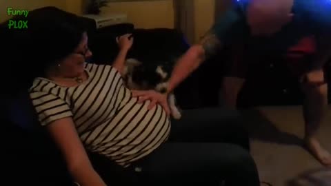Funny Dogs Protecting Babies
