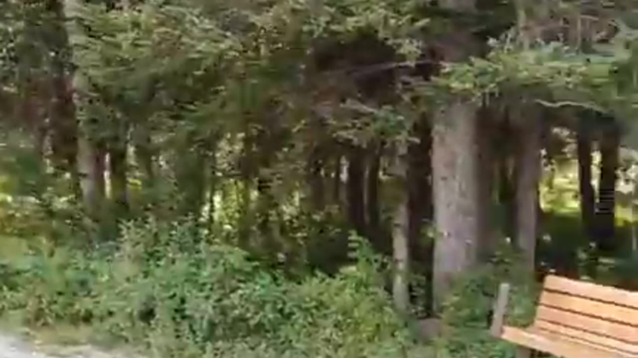 Awesome Wonder Non-Artificial Intelligently created