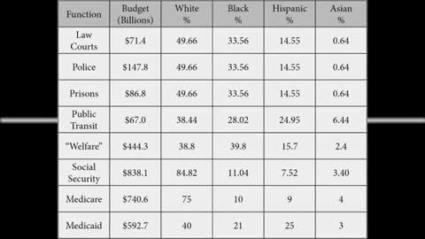 FISCAL IMPACT BY RACE IN THE UNITED STATES