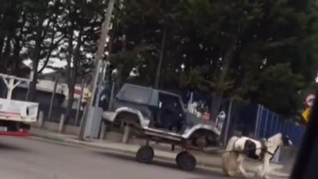 Horse-Drawn Car