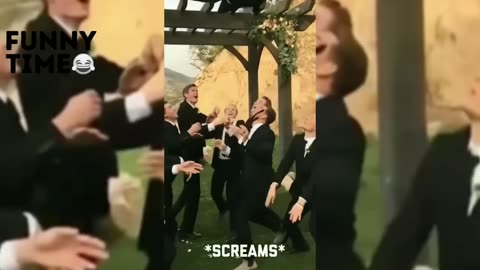 TRY NOT TO LAUGH🤣 - Compilation of the Best Funny Videos
