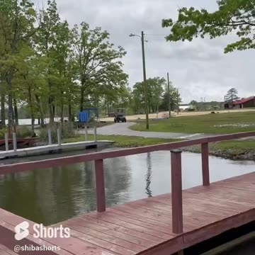 This Pup Is So Spoiled