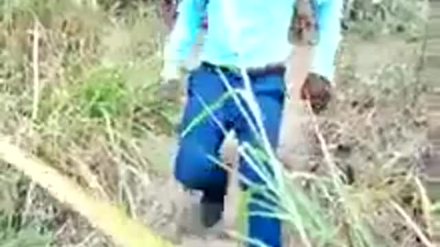 Do you know how to walk with your hands?