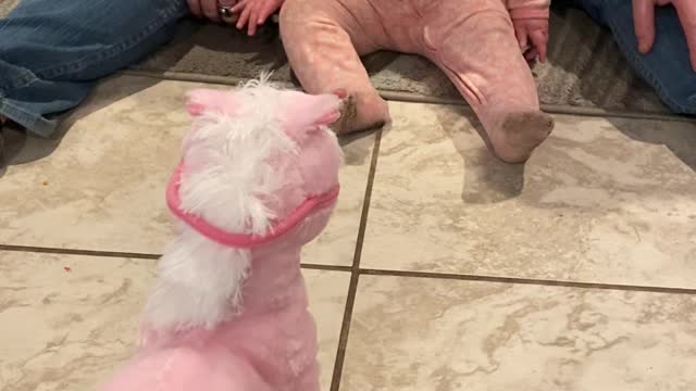 Baby isn't a Fan of Toy Pony