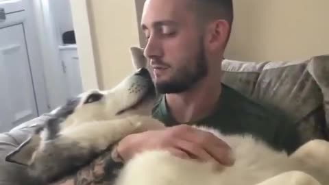 animals_funny_videos
