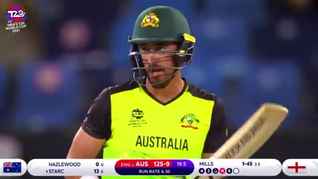 cricket love-video cricket lovers-video #cricket #cricketlove r