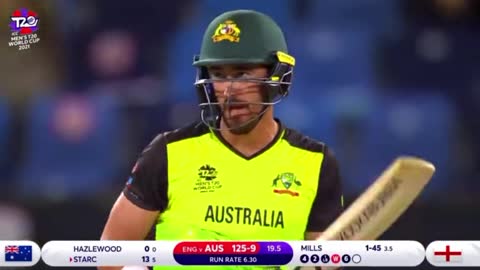 cricket love-video cricket lovers-video #cricket #cricketlove r