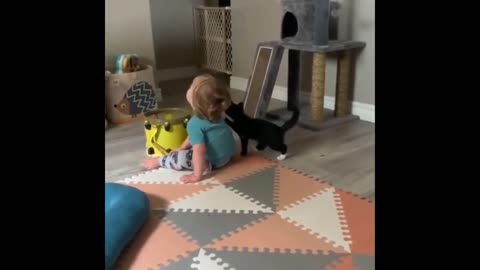 Cat Plays with Toddler!!!