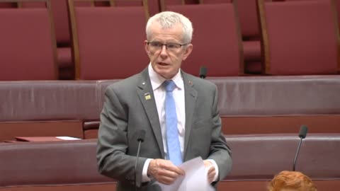 One Nation Pushes to Enshrine Freedom of Speech in the Constitution