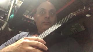 Cultured ukulele