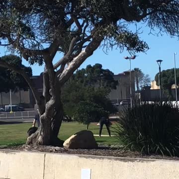 Shirtless man black wet suite park stretching