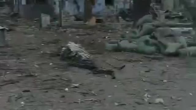 14.03.2022. Demilitarization and denazification of Ukraine!!!