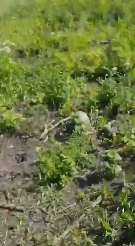 Walking Through a Russian Wasteland