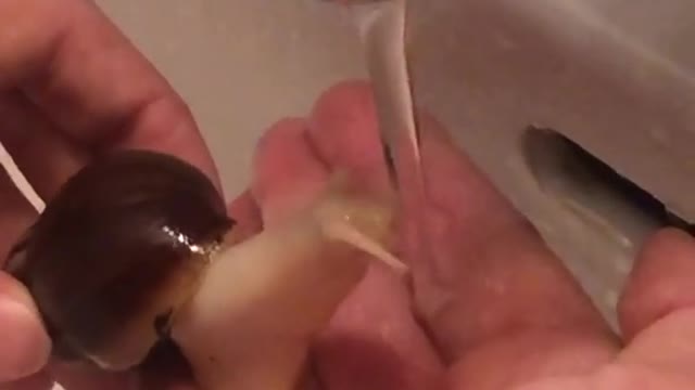 Happy snail drinking water! 🐌💧