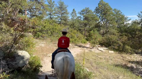 Grandson and Grandpa with our horses