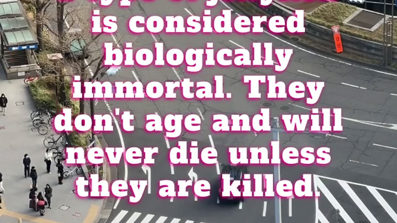 🤯 Crazy Mindblowing facts you didn’t know Pt.6 🤯