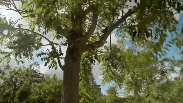 Eiffel Tower behind trees