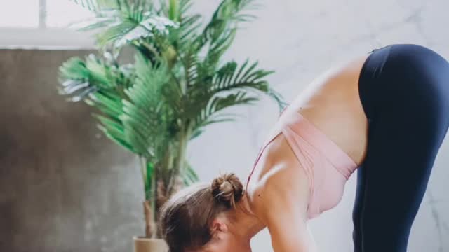 Adho Mukha Svanasana or Downward-Facing Dog Pose