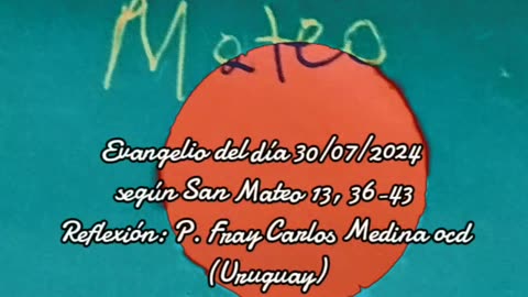 Evangelio del día 30/07/2024 según San Mateo 13, 36-43 - P. Fray Carlos Medina ocd