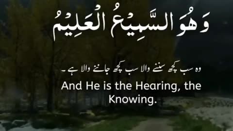 Heart Touching Quran Recitation with Stunning Visuals