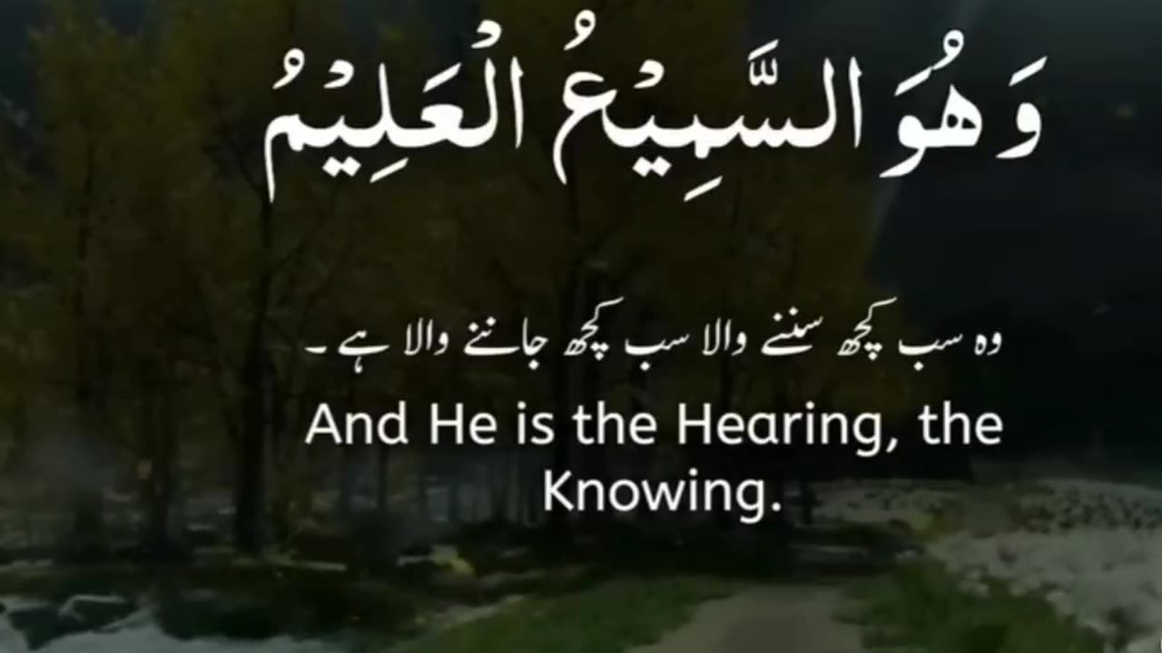 Heart Touching Quran Recitation with Stunning Visuals