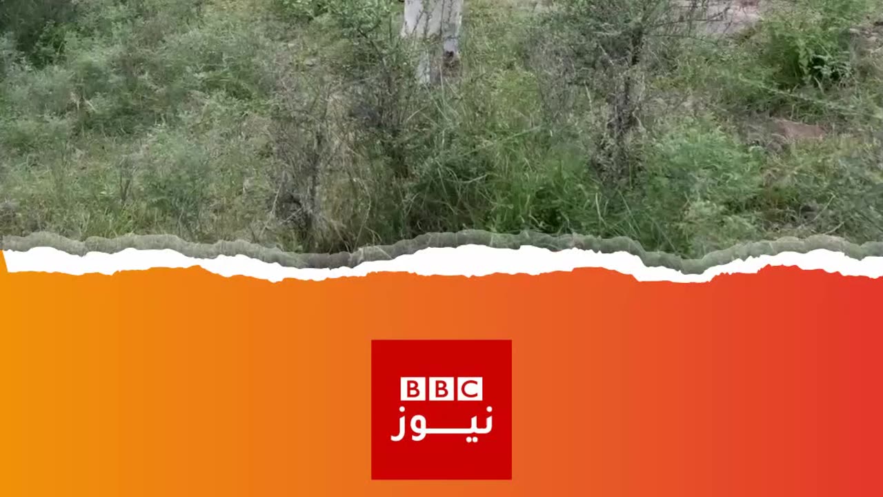 هرباً من تعذيب الشرطة، يختبئ الرجال المسلمون في الغابة.