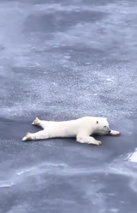 Doing what you like is freedom.