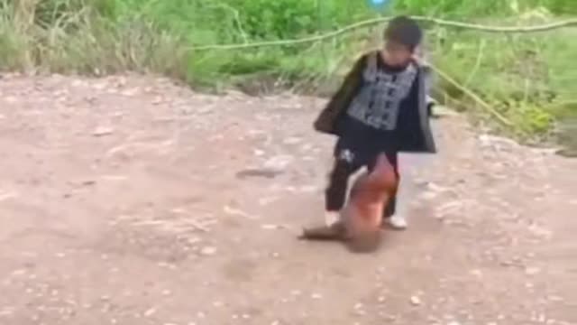 Try Not To Laugh