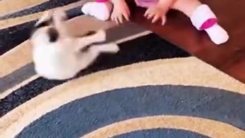 Cute baby & cat having fun// animal lover
