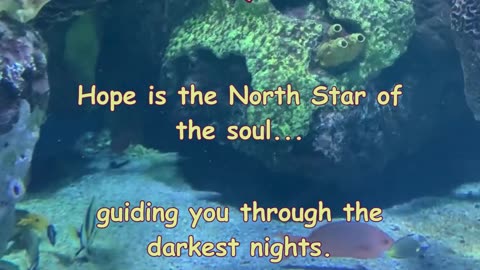 Hope
